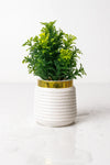 Green Indoor Artificial Plastic Wild Plant for Home Decorate (1 pcs)