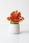 Indoor Artificial Plastic Wild Plant for Home Decorate (1 pcs)
