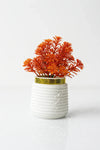 Orange Indoor Artificial Plastic Wild Plant for Home Decorate (1 pcs)